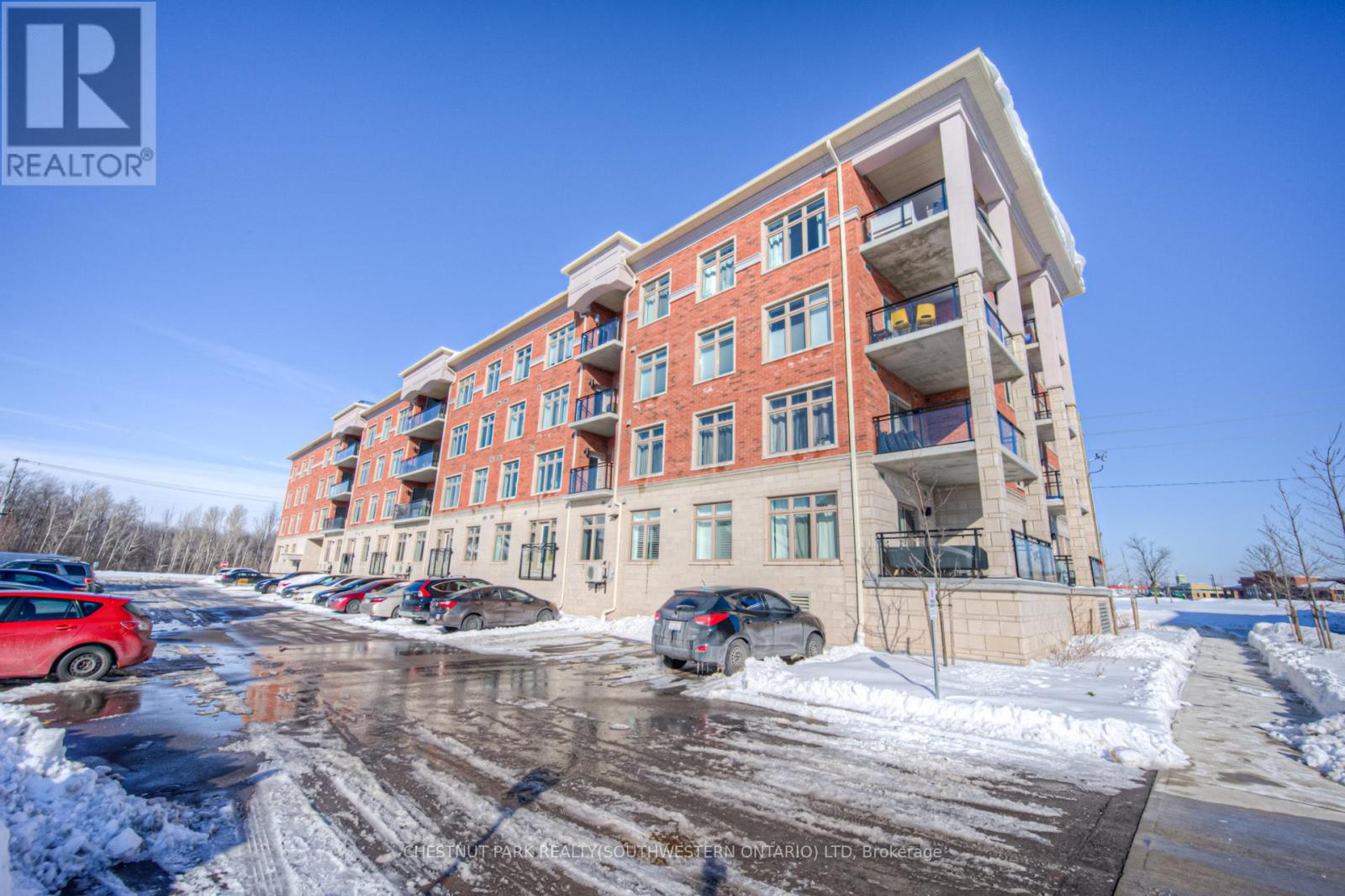 213 - 195 Commonwealth Street, Kitchener, Ontario  N2E 0H5 - Photo 3 - X12615834