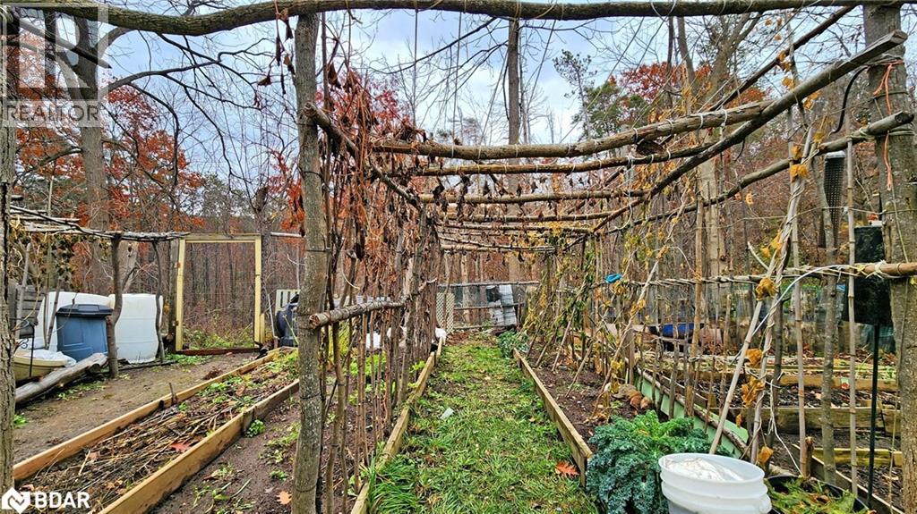 167 Little Avenue, Barrie, Ontario  L4N 6L7 - Photo 39 - 40793330