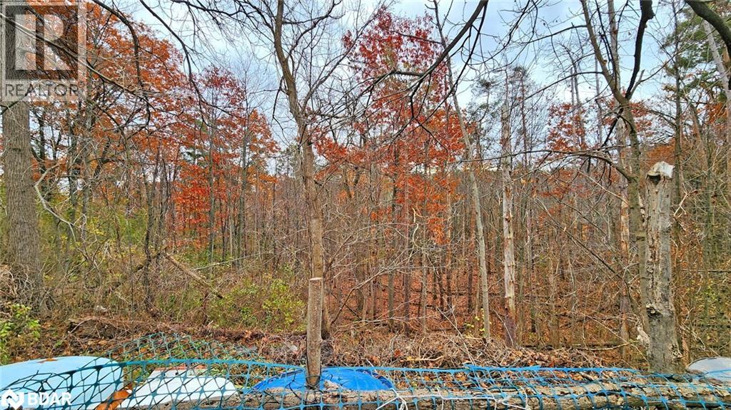 167 Little Avenue, Barrie, Ontario  L4N 6L7 - Photo 41 - 40793330