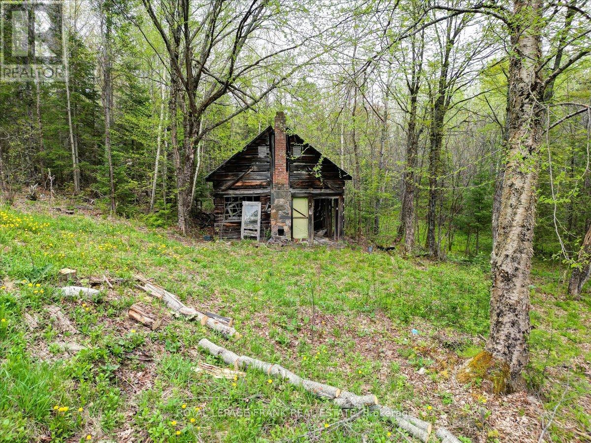 1019 Anderson Road, Highlands East, Ontario  K0L 2Y0 - Photo 35 - X12155482