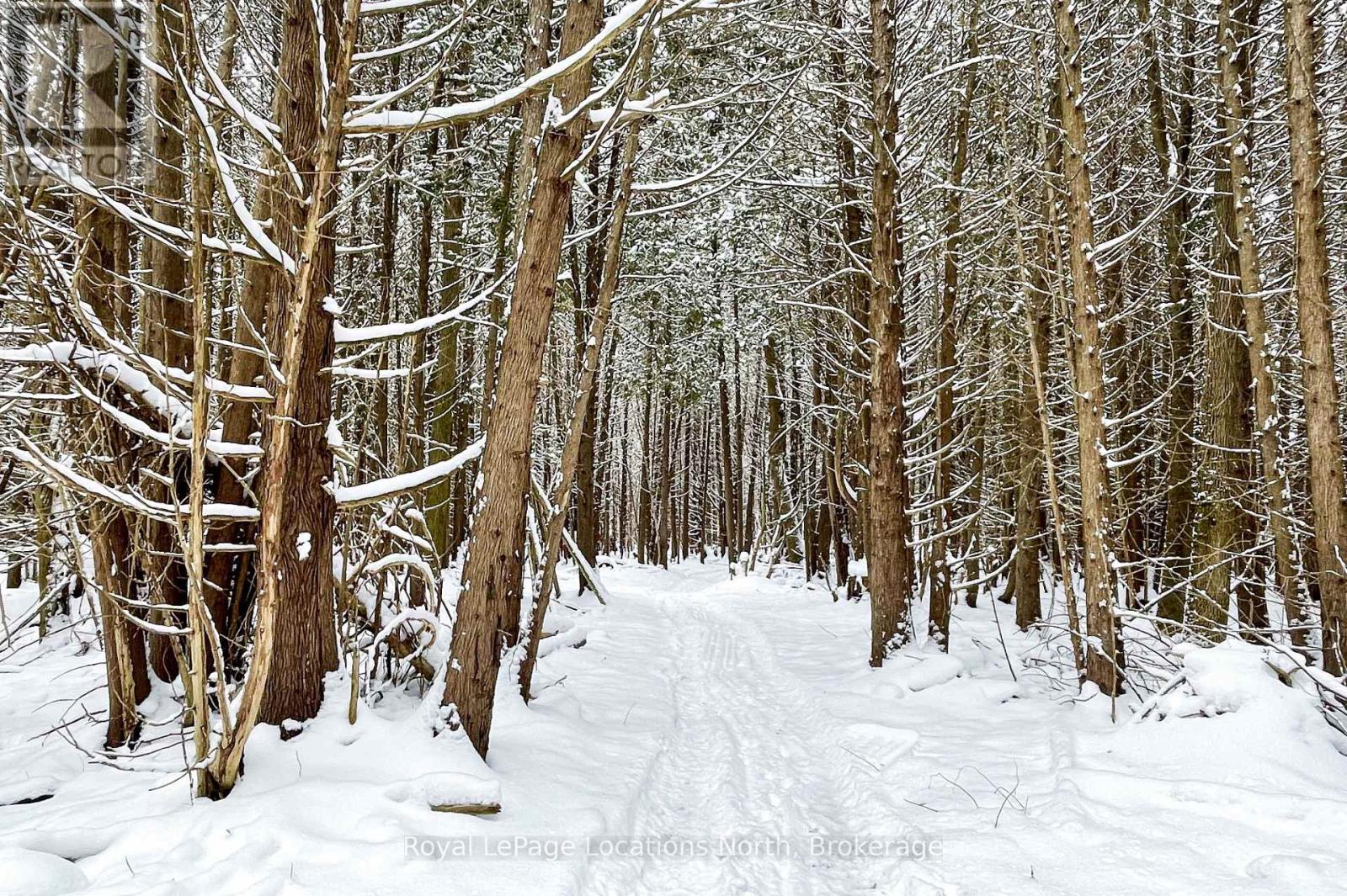 637280 St Vincent-Sydenham Townline, Meaford, Ontario  N4L 1W5 - Photo 40 - X12616004