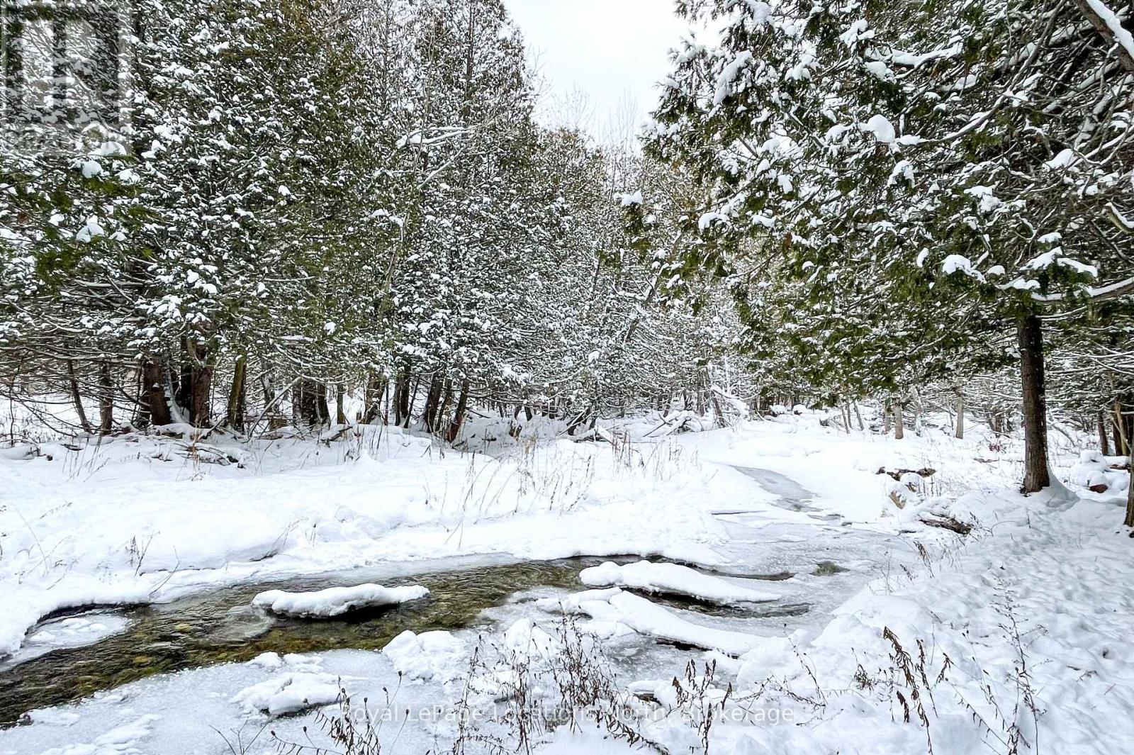 637280 St Vincent-Sydenham Townline, Meaford, Ontario  N4L 1W5 - Photo 41 - X12616004