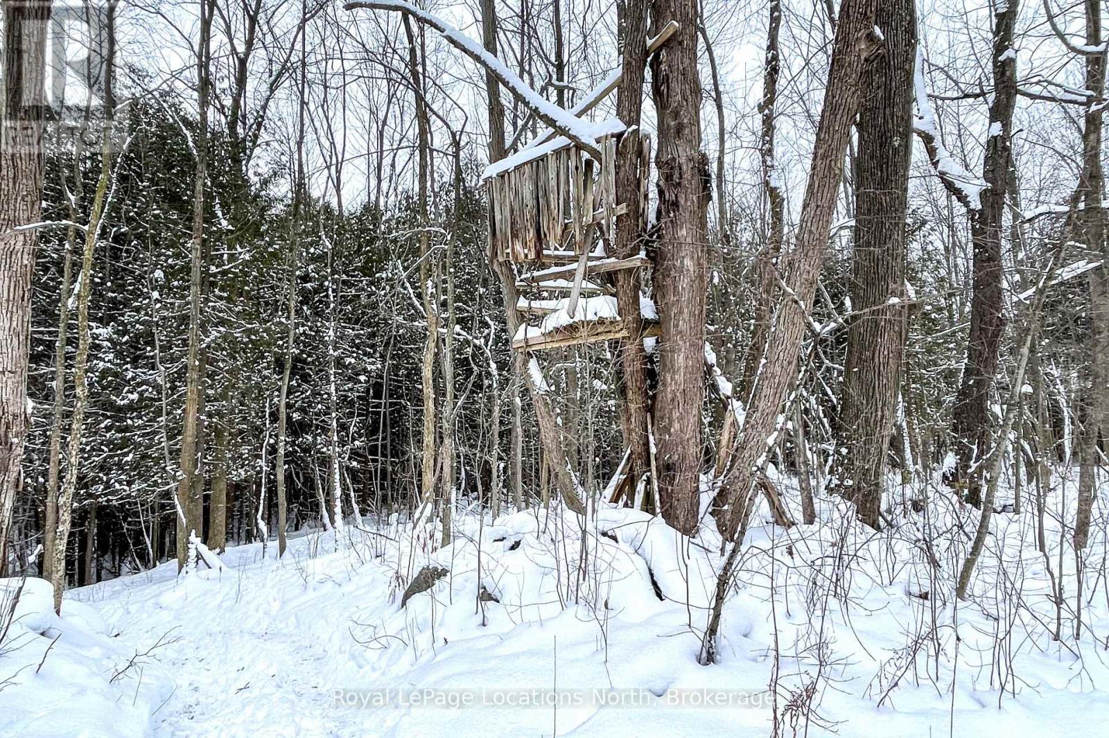 637280 St Vincent-Sydenham Townline, Meaford, Ontario  N4L 1W5 - Photo 45 - X12616004