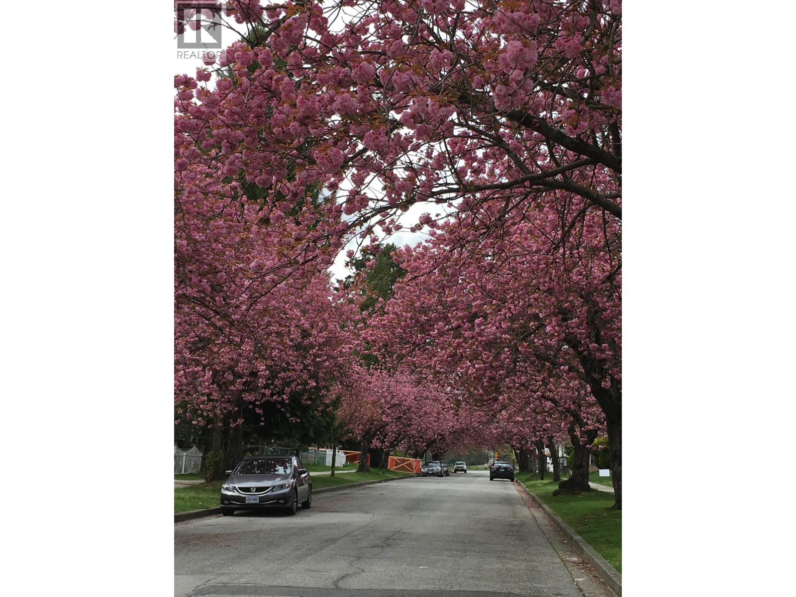 1257 E 60th Avenue, Vancouver, British Columbia  V5X 2A6 - Photo 4 - R3050596