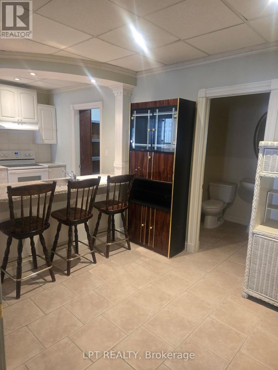 Lower Level - 14195 Mount Hope Road E, Caledon, Ontario  L7E 3K3 - Photo 13 - W12616178