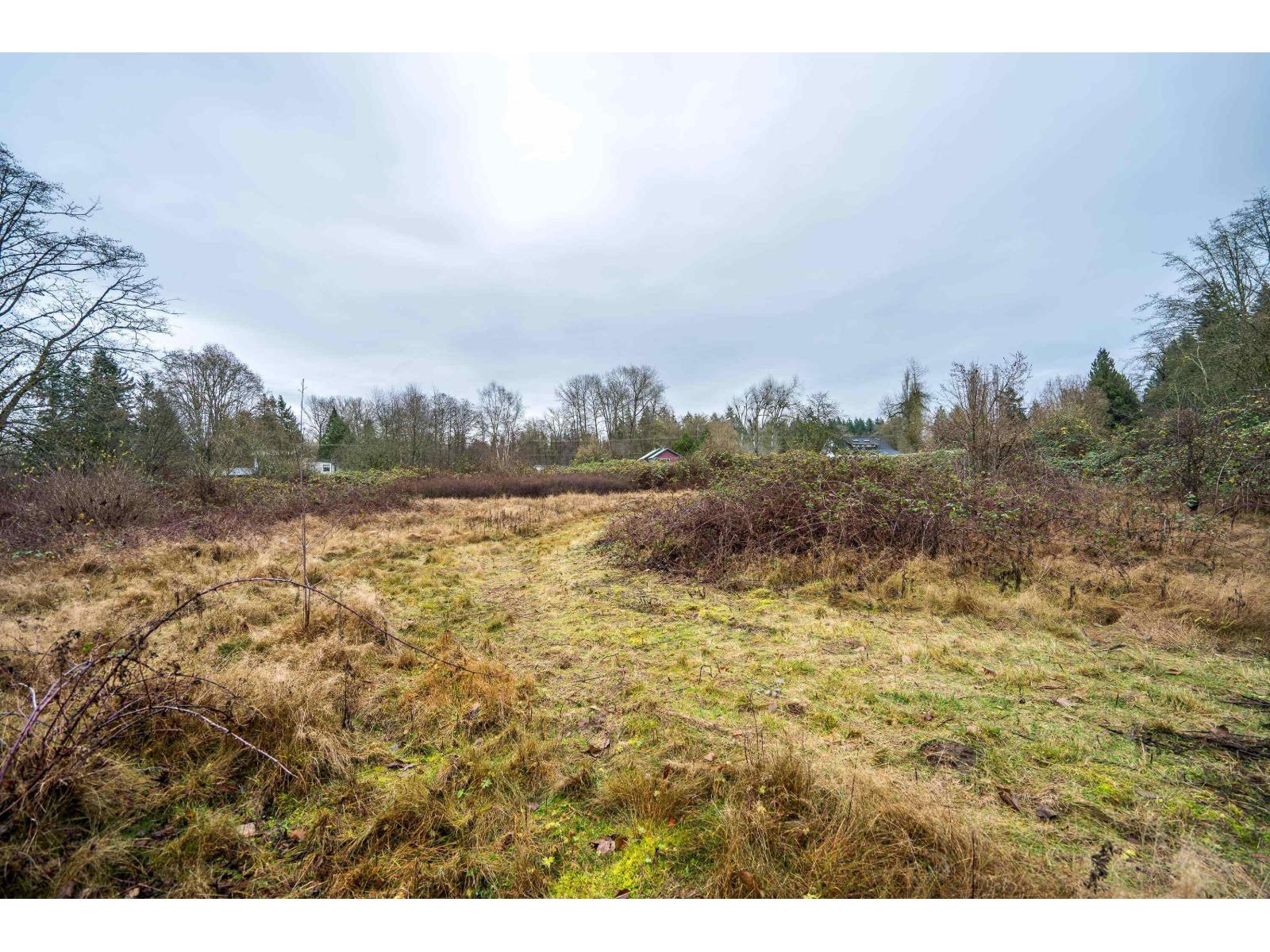 3011 184 Street, Surrey, British Columbia  V3Z 9V2 - Photo 39 - R3073144