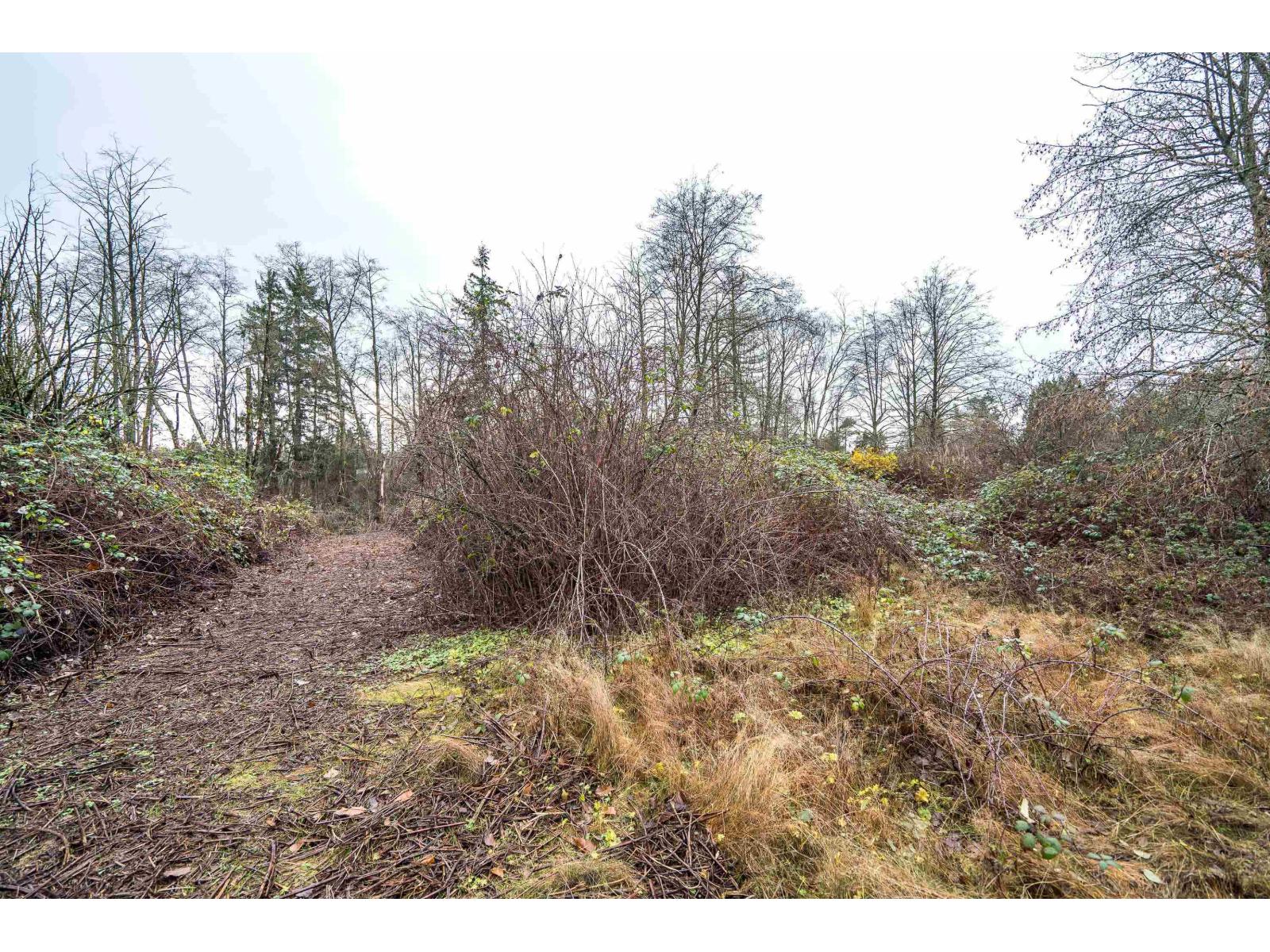 3011 184 Street, Surrey, British Columbia  V3Z 9V2 - Photo 38 - R3073144