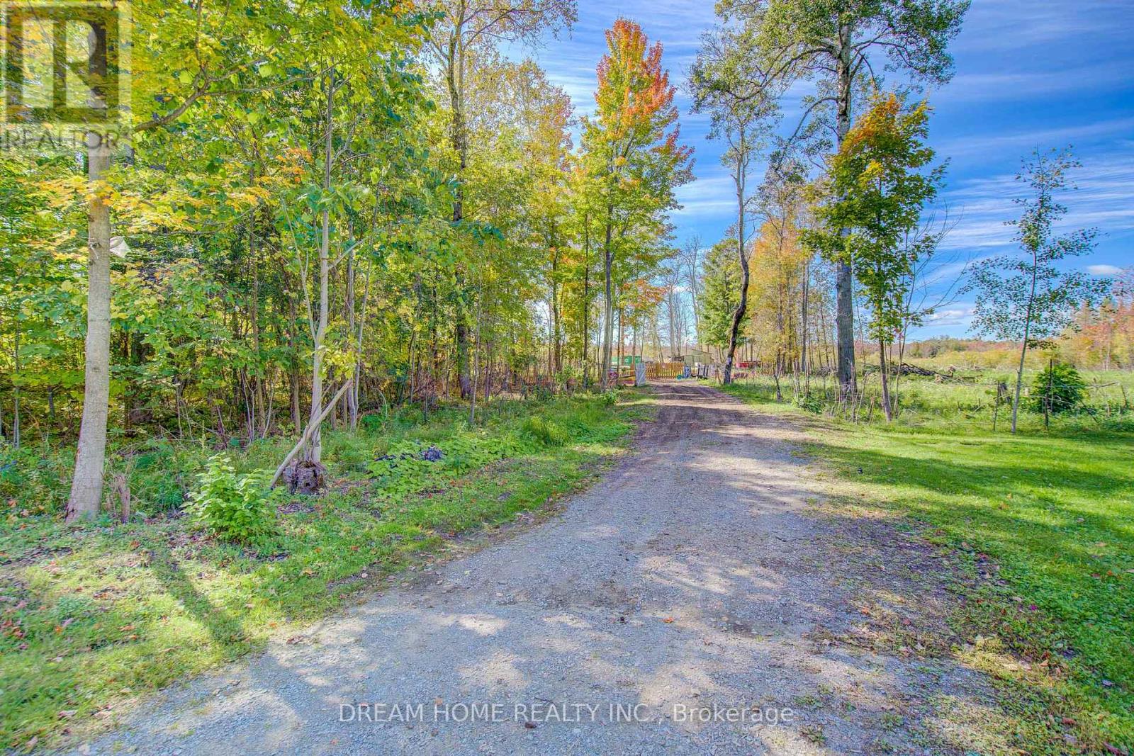 1119 Sajnovic Place, Ramara, Ontario  L3V 0L8 - Photo 39 - S12616312