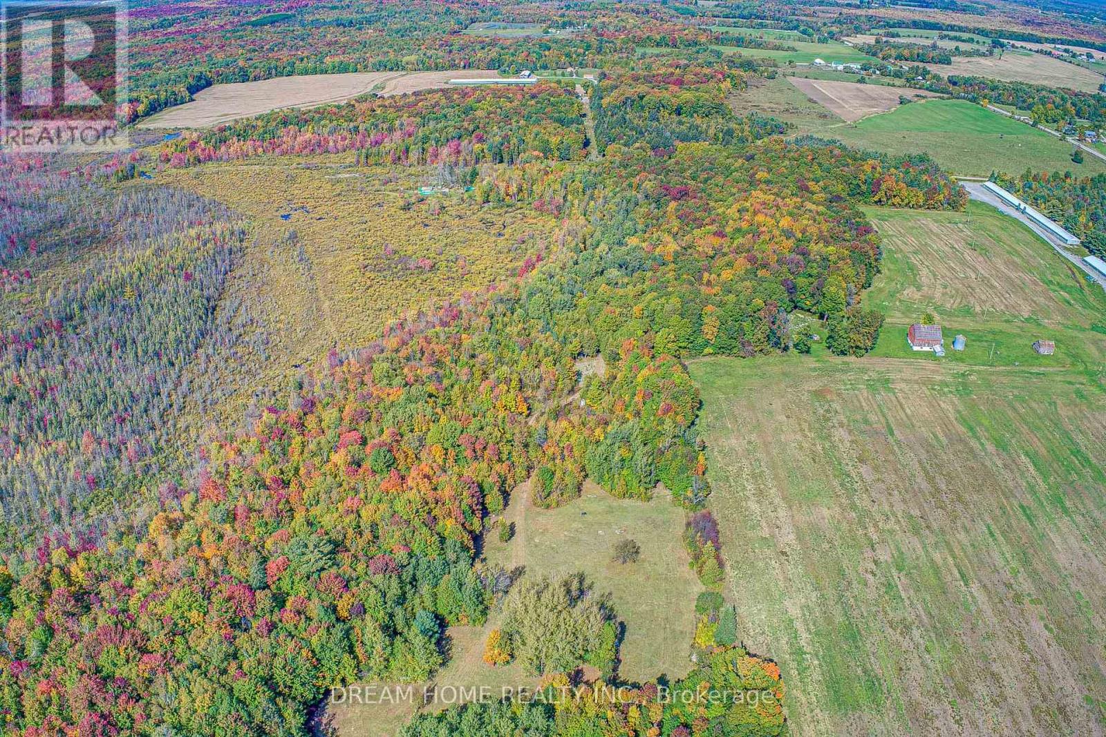 1119 Sajnovic Place, Ramara, Ontario  L3V 0L8 - Photo 44 - S12616312