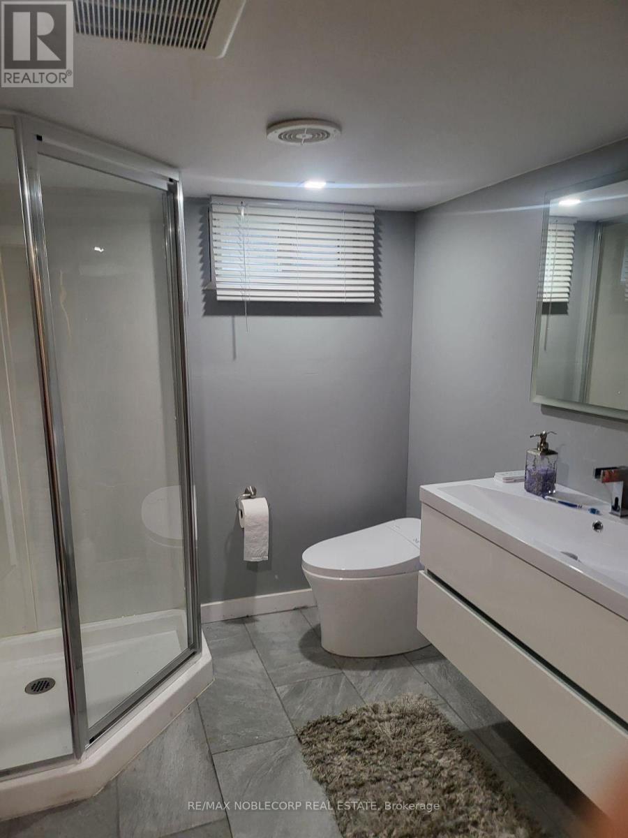 Bsmt - 56 Argyle Crescent, St. Catharines, Ontario  L2P 2P4 - Photo 9 - X12615934