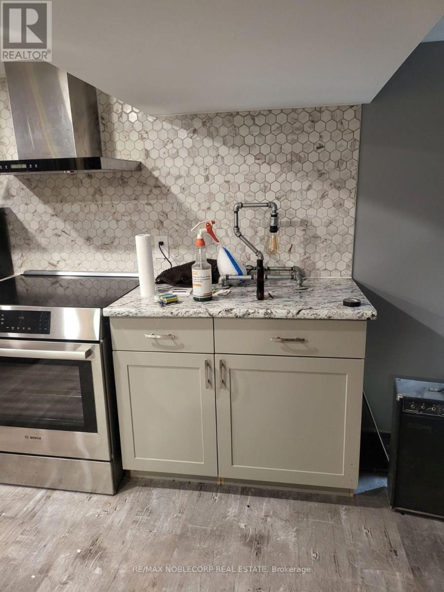 Bsmt - 56 Argyle Crescent, St. Catharines, Ontario  L2P 2P4 - Photo 6 - X12615934