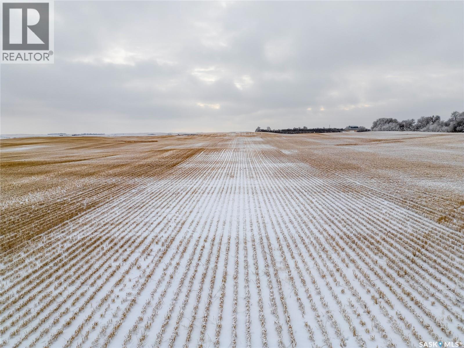 2 Quarters Grainland With Yard Near Macrorie, Sk, Fertile Valley Rm No. 285, Saskatchewan  S0L 2E0 - Photo 6 - SK025122
