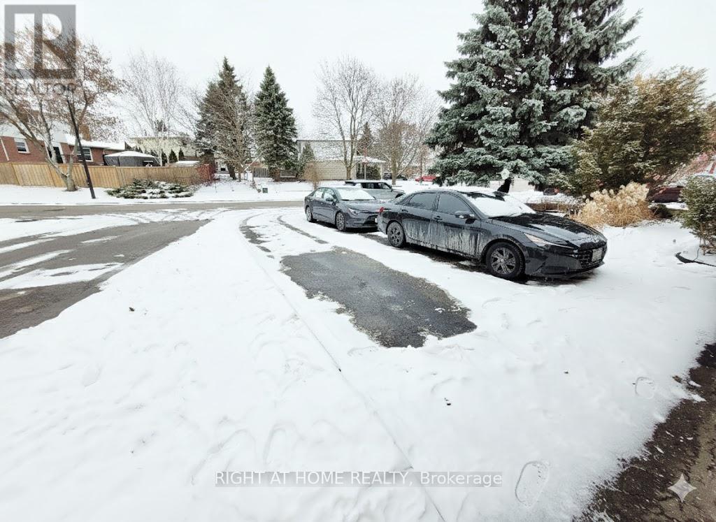 Basement - 588 Brooks Howard Court, Newmarket, Ontario  L3Y 6V1 - Photo 10 - N12616452