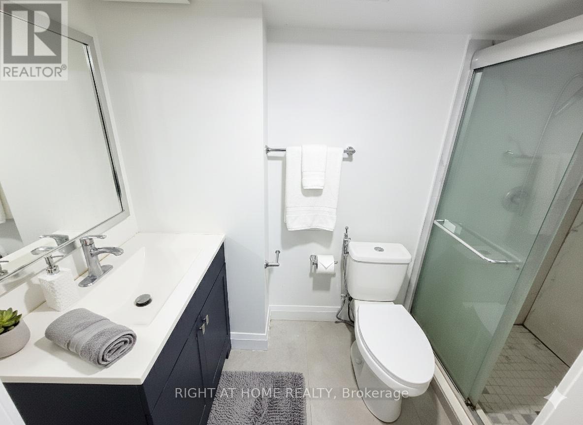 Basement - 588 Brooks Howard Court, Newmarket, Ontario  L3Y 6V1 - Photo 5 - N12616452