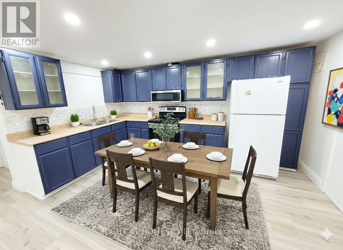 Basement - 588 Brooks Howard Court, Newmarket, Ontario  L3Y 6V1 - Photo 6 - N12616452