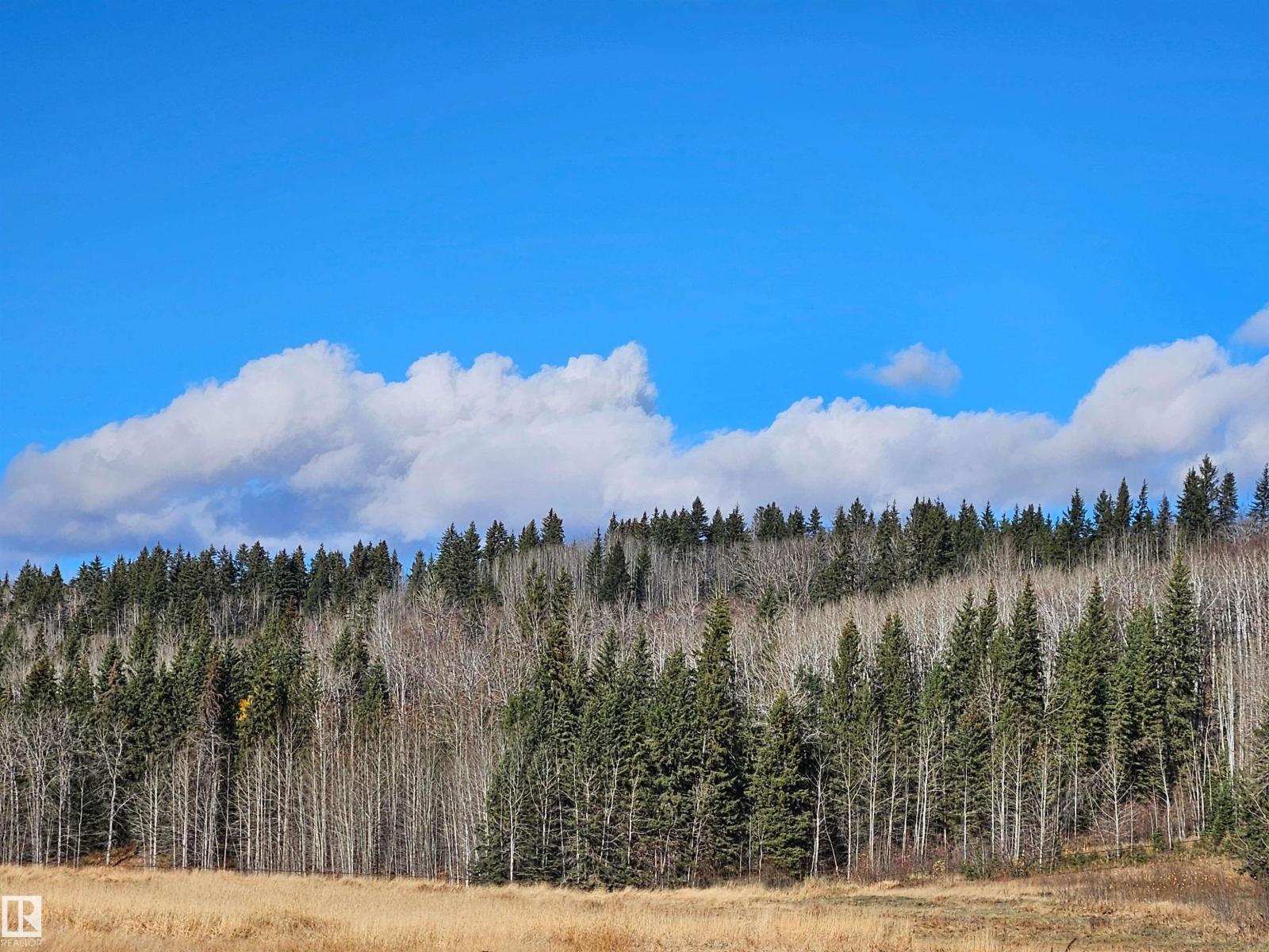 6501 Twp Road 502 House A; B, Rural Brazeau County, Alberta  T7A 2A2 - Photo 71 - E4463318