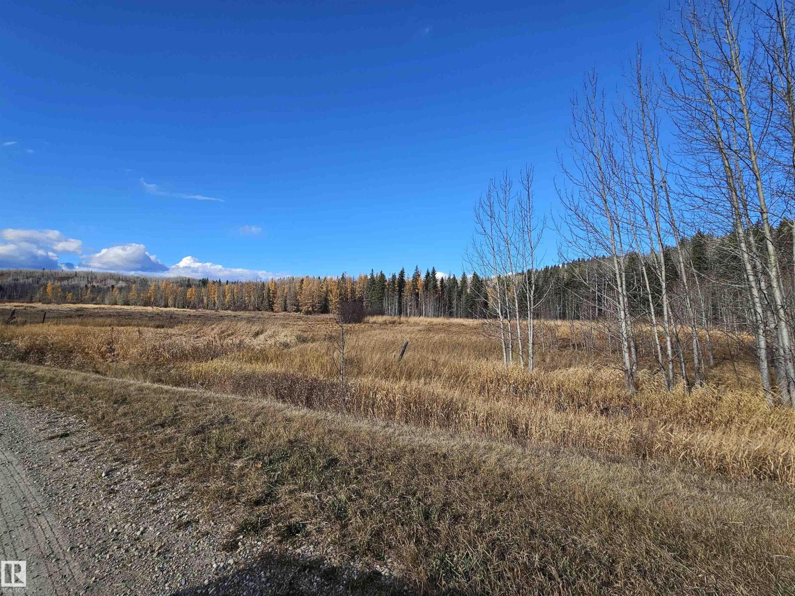 6501 Twp Road 502 House A; B, Rural Brazeau County, Alberta  T7A 2A2 - Photo 70 - E4463318