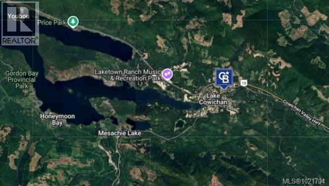 199 Kenvir Rd, Lake Cowichan, British Columbia  V0R 2G0 - Photo 4 - 1021704