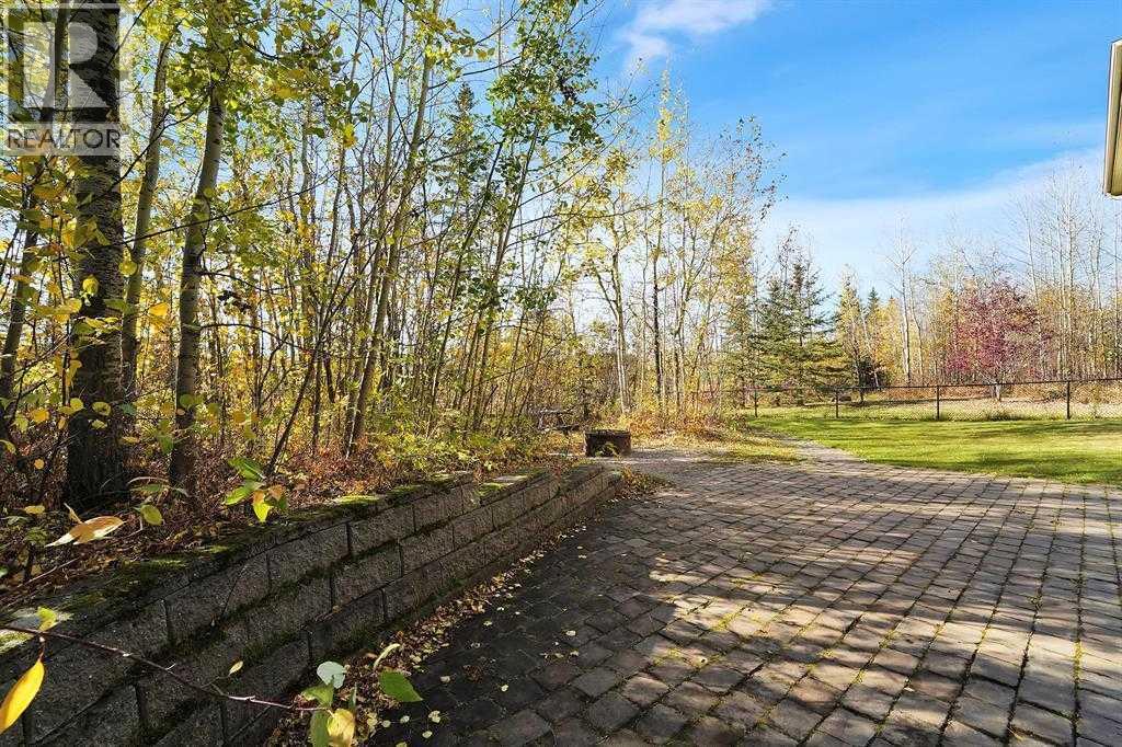 232 Canal Street, Rural Ponoka County, Alberta  T0C 2J0 - Photo 33 - A2252996