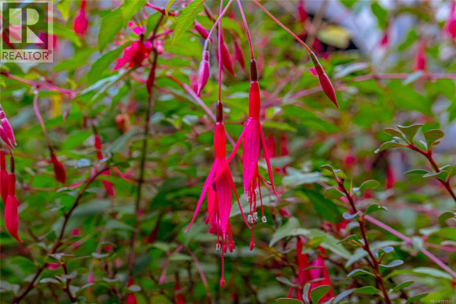 36 60 Dallas Rd, Victoria, British Columbia  V8V 1A2 - Photo 50 - 1018408