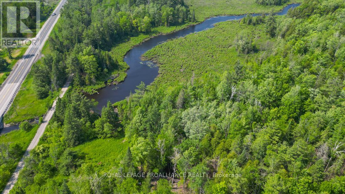 4 Wolf Lake Road, Madoc, Ontario  K0K 1Y0 - Photo 13 - X12616676