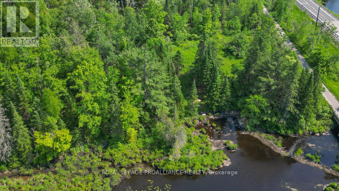 4 Wolf Lake Road, Madoc, Ontario  K0K 1Y0 - Photo 14 - X12616676