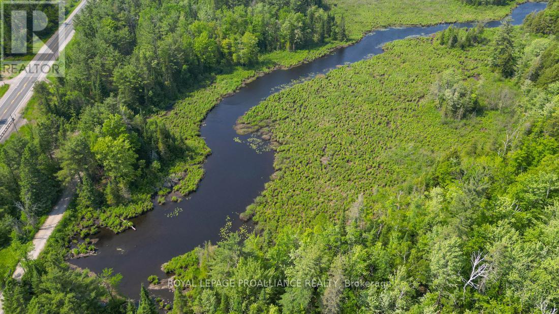 4 Wolf Lake Road, Madoc, Ontario  K0K 1Y0 - Photo 16 - X12616676