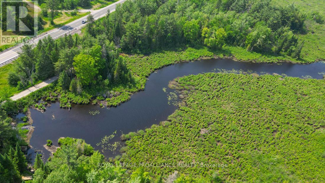 4 Wolf Lake Road, Madoc, Ontario  K0K 1Y0 - Photo 17 - X12616676