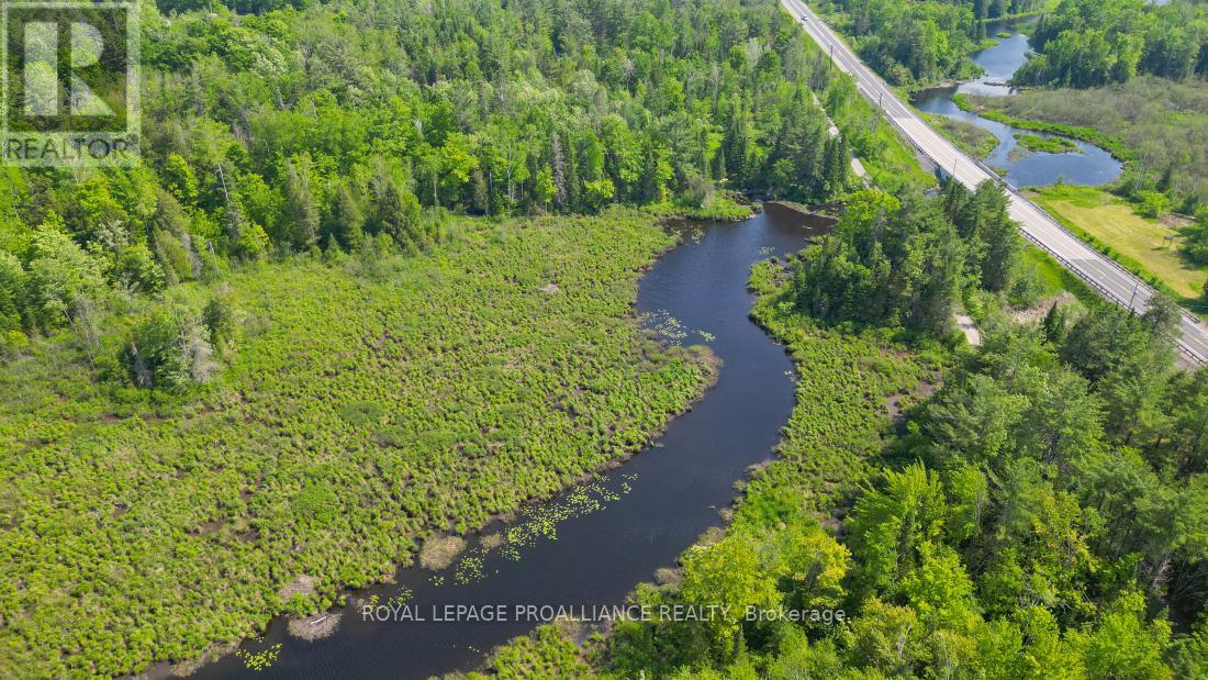 4 Wolf Lake Road, Madoc, Ontario  K0K 1Y0 - Photo 18 - X12616676