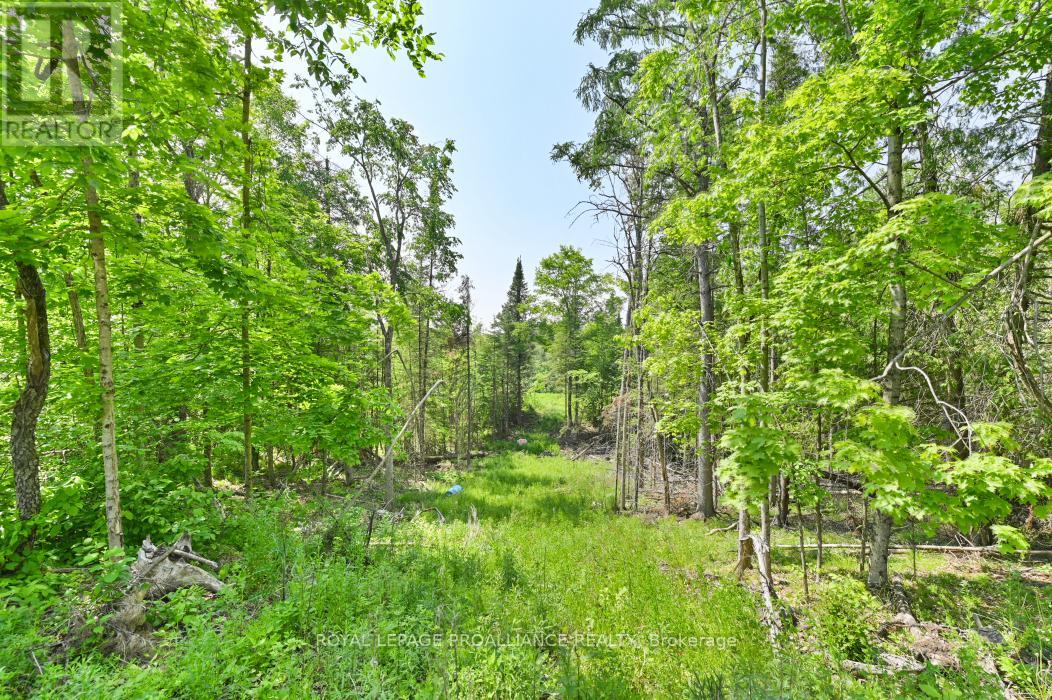 4 Wolf Lake Road, Madoc, Ontario  K0K 1Y0 - Photo 19 - X12616676