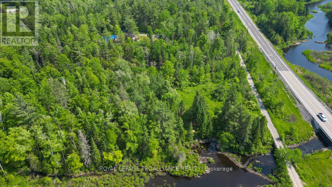 4 Wolf Lake Road, Madoc, Ontario  K0K 1Y0 - Photo 4 - X12616676