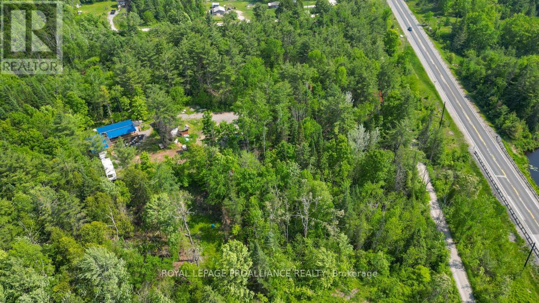 4 Wolf Lake Road, Madoc, Ontario  K0K 1Y0 - Photo 5 - X12616676