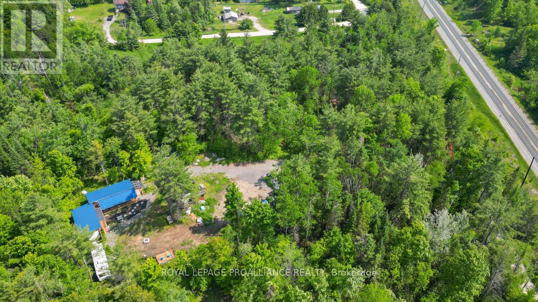 4 Wolf Lake Road, Madoc, Ontario  K0K 1Y0 - Photo 6 - X12616676