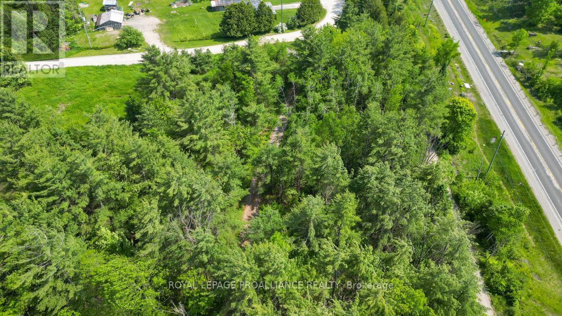 4 Wolf Lake Road, Madoc, Ontario  K0K 1Y0 - Photo 7 - X12616676
