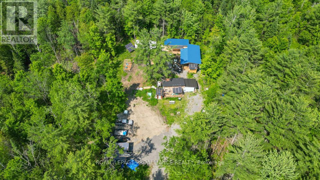 4 Wolf Lake Road, Madoc, Ontario  K0K 1Y0 - Photo 8 - X12616676