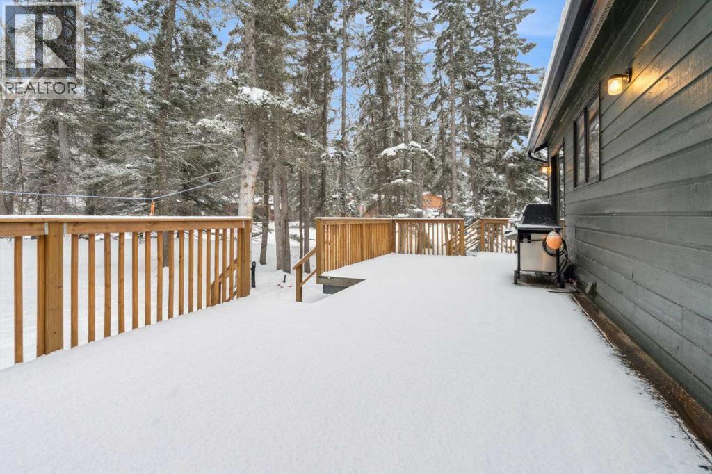 3 Redwood Meadows Close, Rural Rocky View County, Alberta  T3Z 1A3 - Photo 39 - A2271886