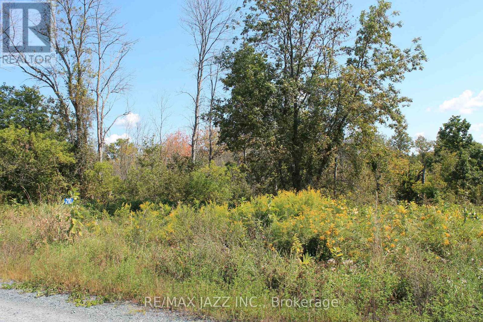 210 Skootamatta Lane, Tweed, Ontario  K0K 3J0 - Photo 3 - X12616768