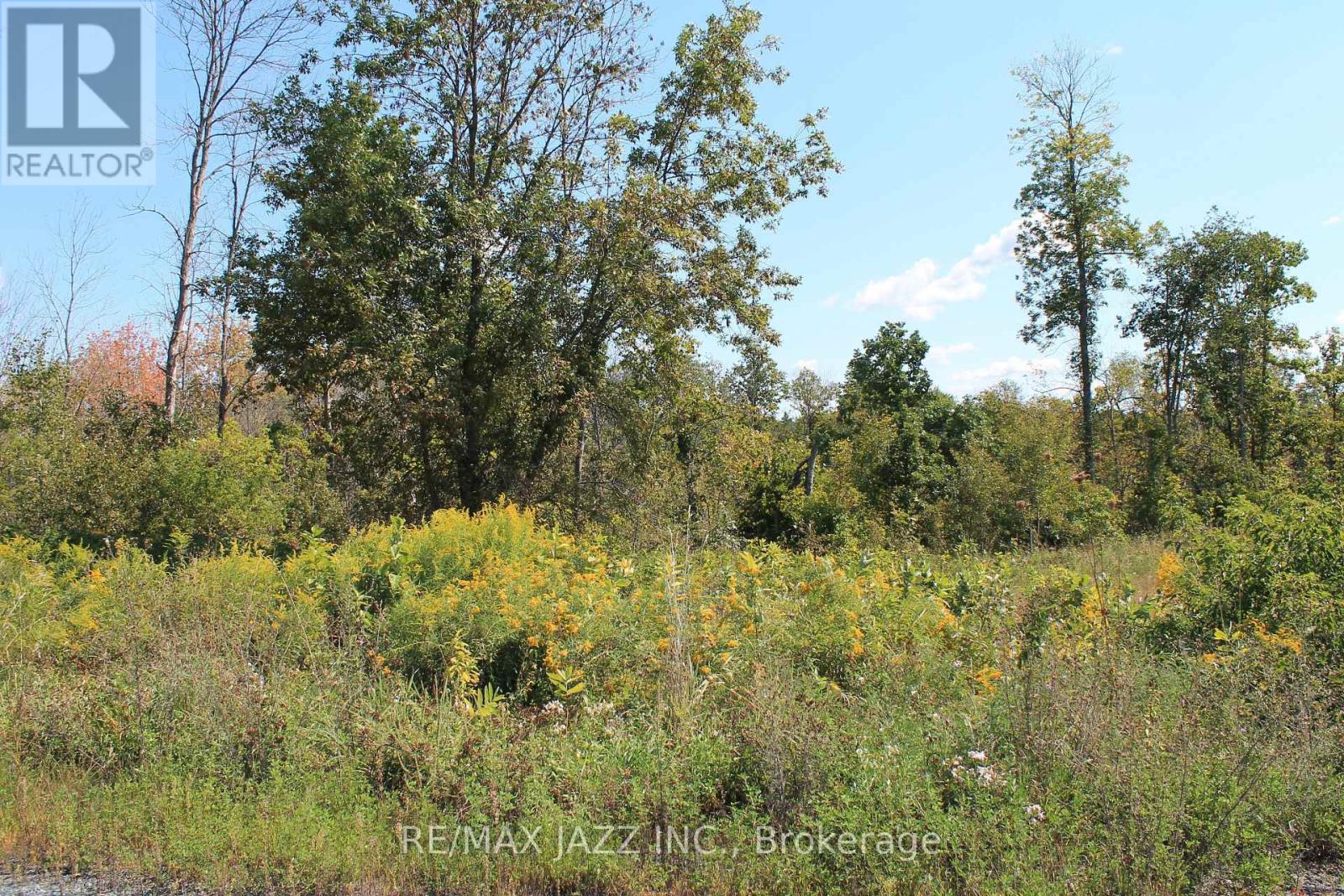 210 Skootamatta Lane, Tweed, Ontario  K0K 3J0 - Photo 4 - X12616768