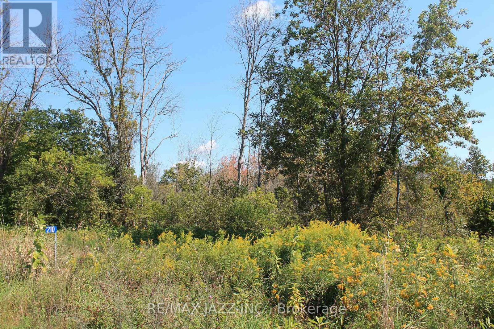 210 Skootamatta Lane, Tweed, Ontario  K0K 3J0 - Photo 5 - X12616768