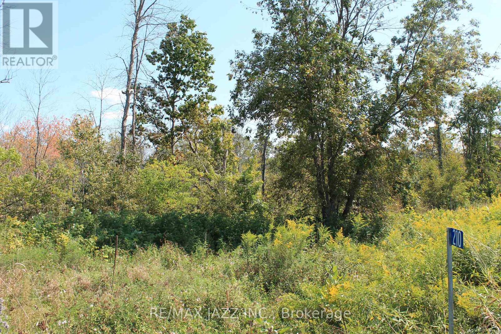 210 Skootamatta Lane, Tweed, Ontario  K0K 3J0 - Photo 6 - X12616768