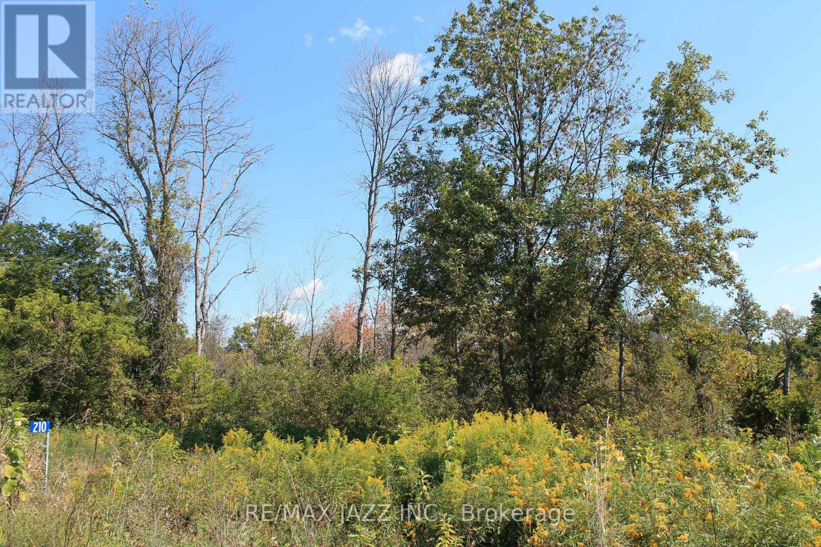 210 Skootamatta Lane, Tweed, Ontario  K0K 3J0 - Photo 7 - X12616768