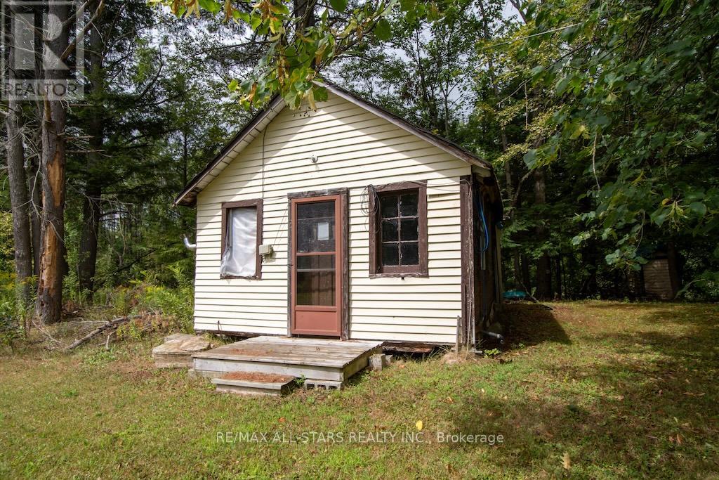 31 Morrison Street, Kawartha Lakes, Ontario  K0M 2L0 - Photo 29 - X12616806