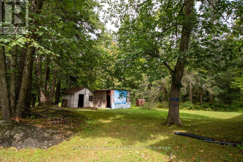 31 Morrison Street, Kawartha Lakes, Ontario  K0M 2L0 - Photo 30 - X12616806