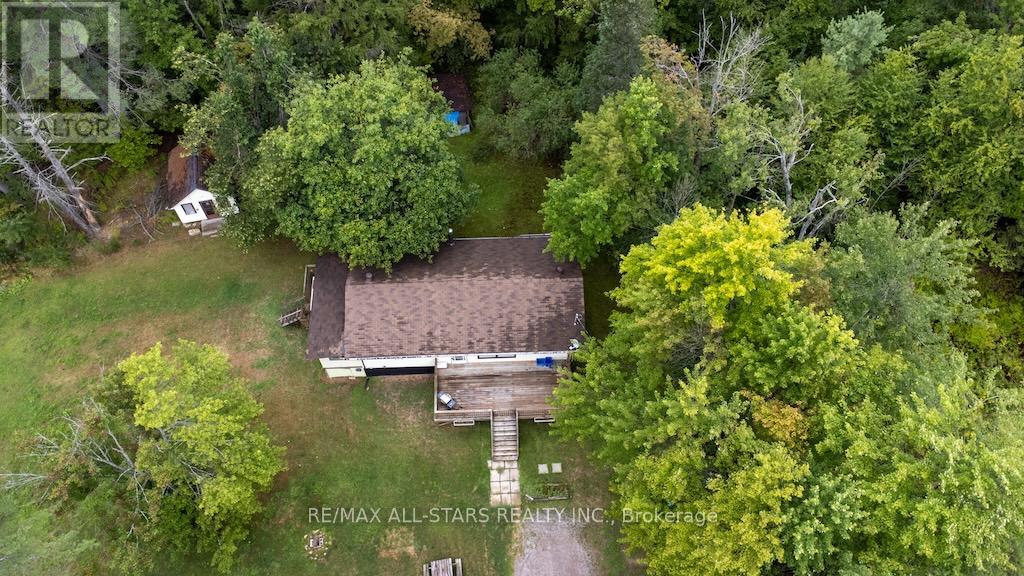 31 Morrison Street, Kawartha Lakes, Ontario  K0M 2L0 - Photo 31 - X12616806