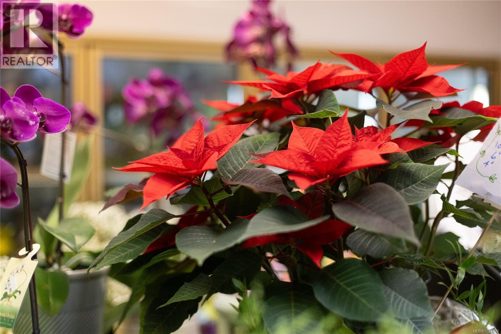 102 2187 Oak Bay Ave, Oak Bay, British Columbia  V8R 1G1 - Photo 53 - 1021800