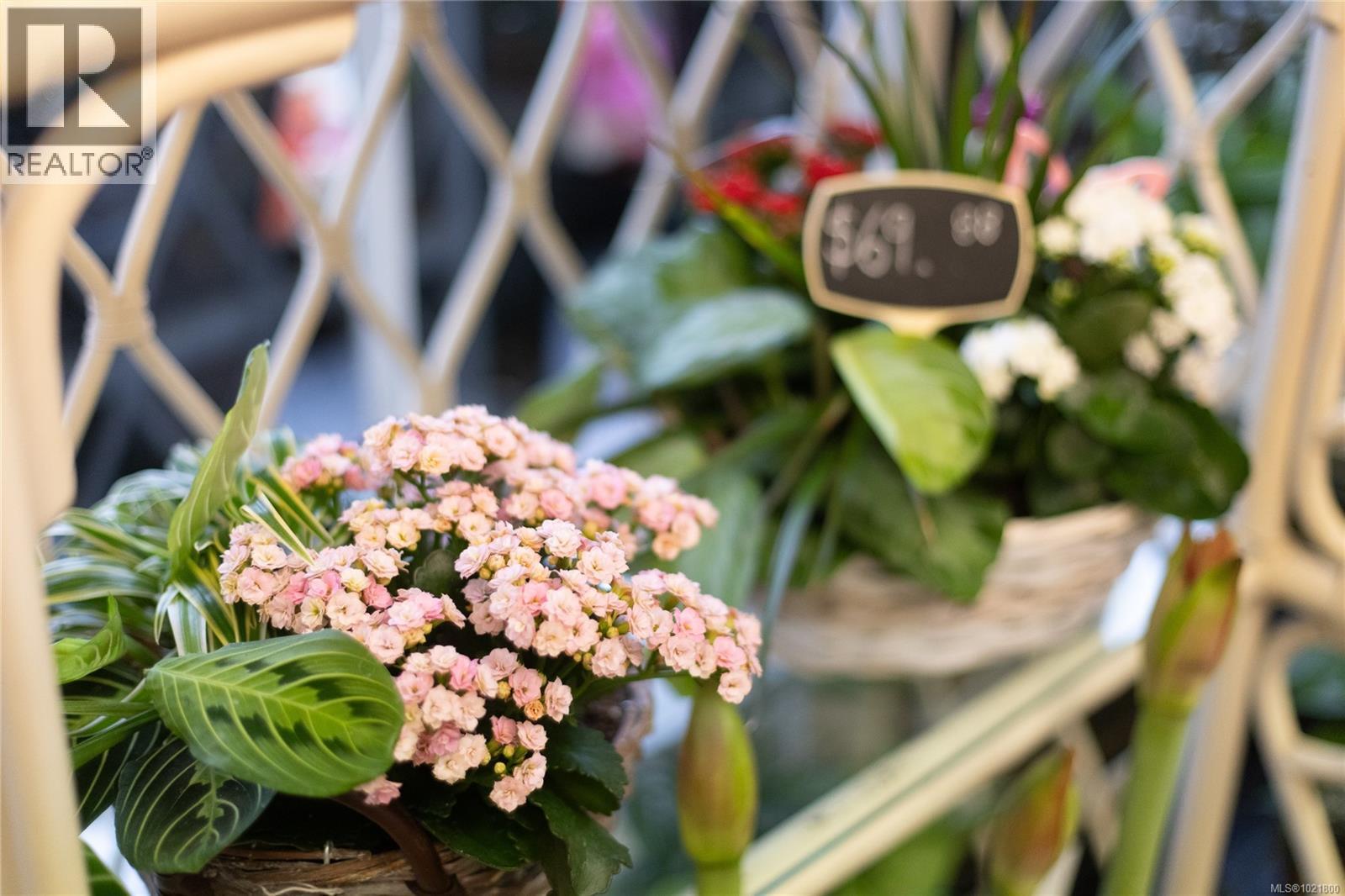 102 2187 Oak Bay Ave, Oak Bay, British Columbia  V8R 1G1 - Photo 55 - 1021800