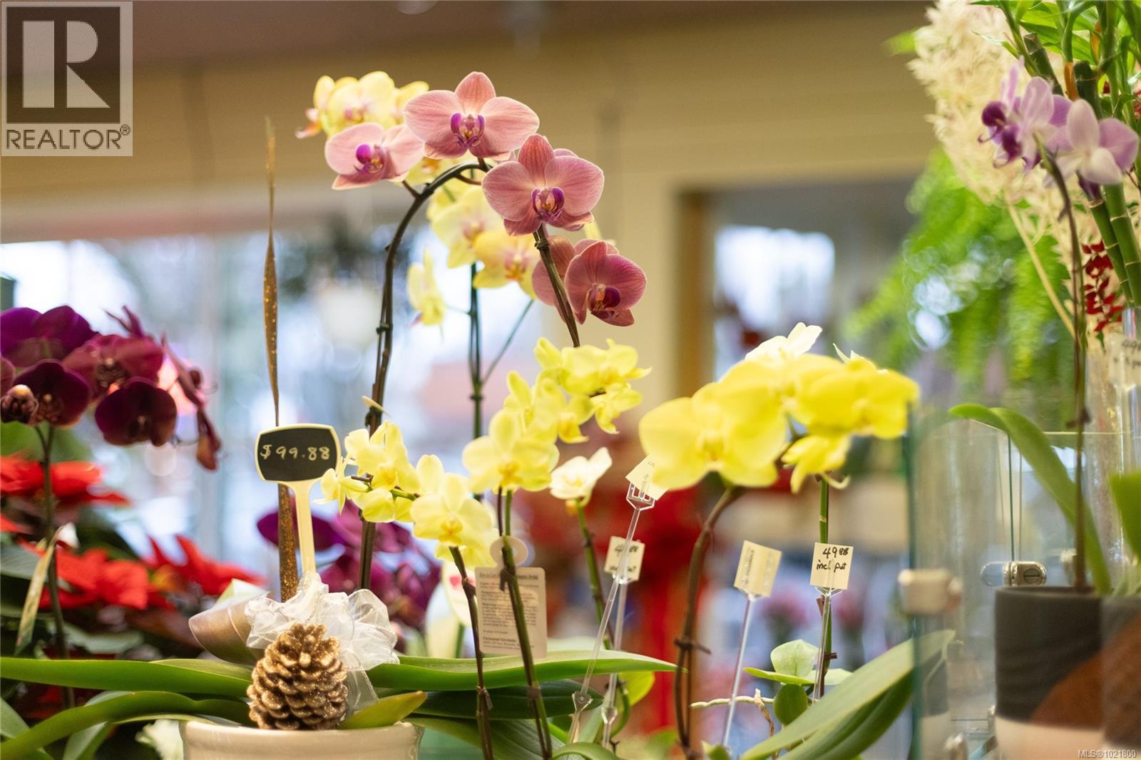 102 2187 Oak Bay Ave, Oak Bay, British Columbia  V8R 1G1 - Photo 58 - 1021800