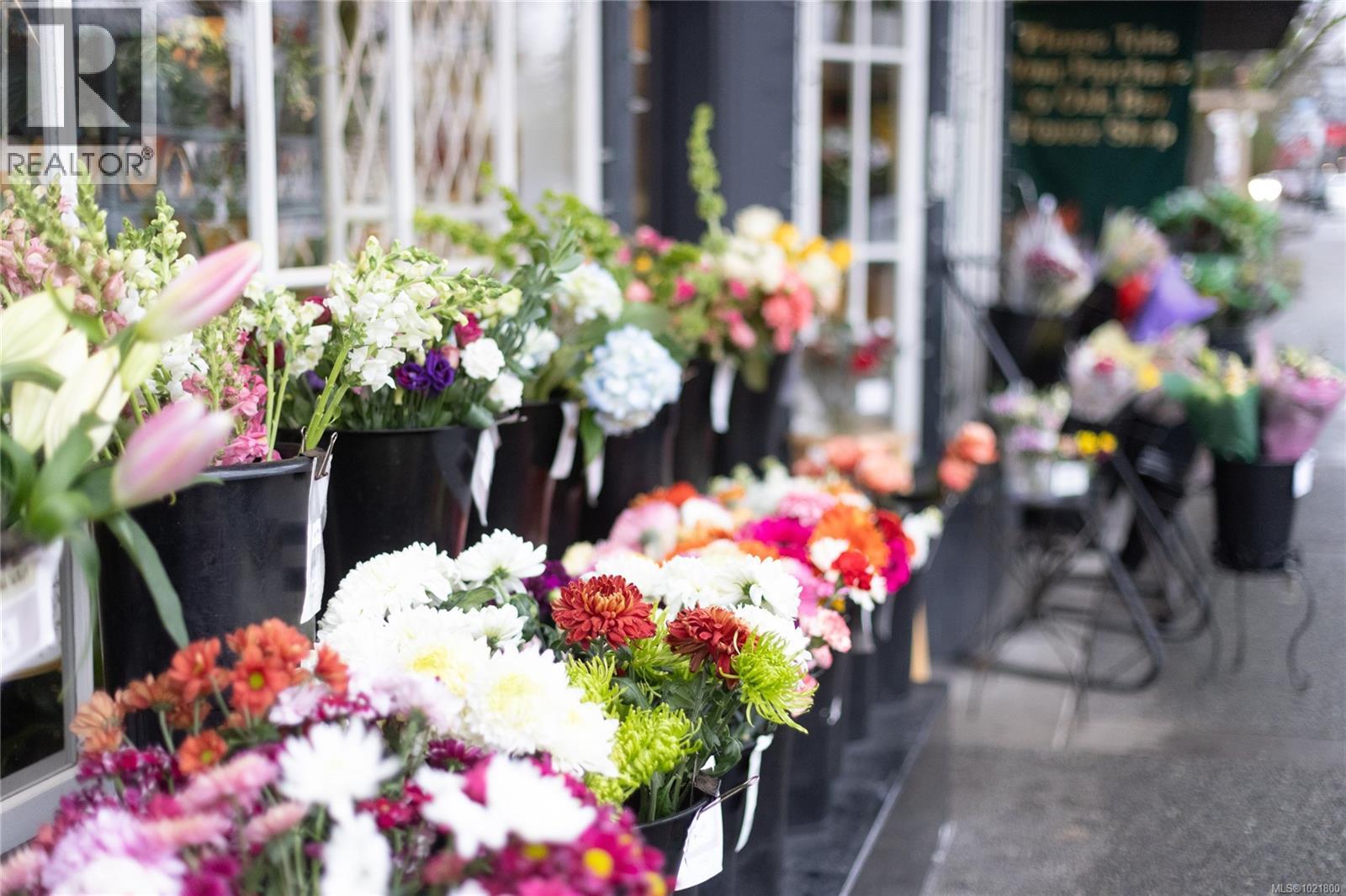 102 2187 Oak Bay Ave, Oak Bay, British Columbia  V8R 1G1 - Photo 60 - 1021800