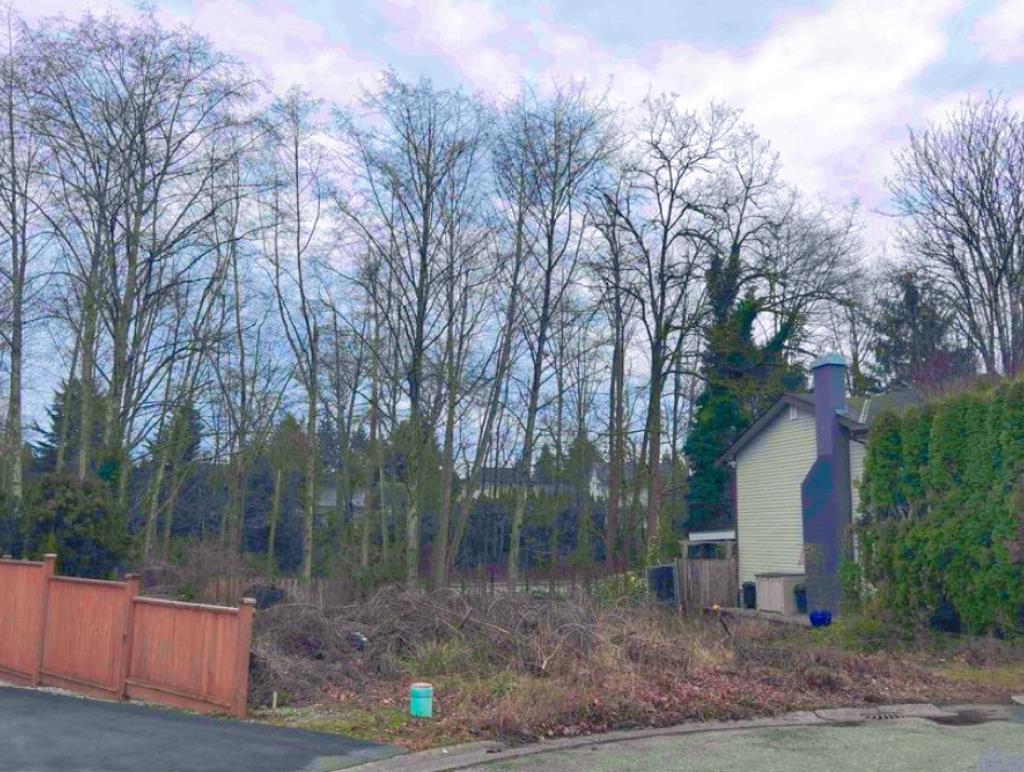 19995 50a Avenue, Langley, British Columbia  V3A 6S1 - Photo 1 - R3073324