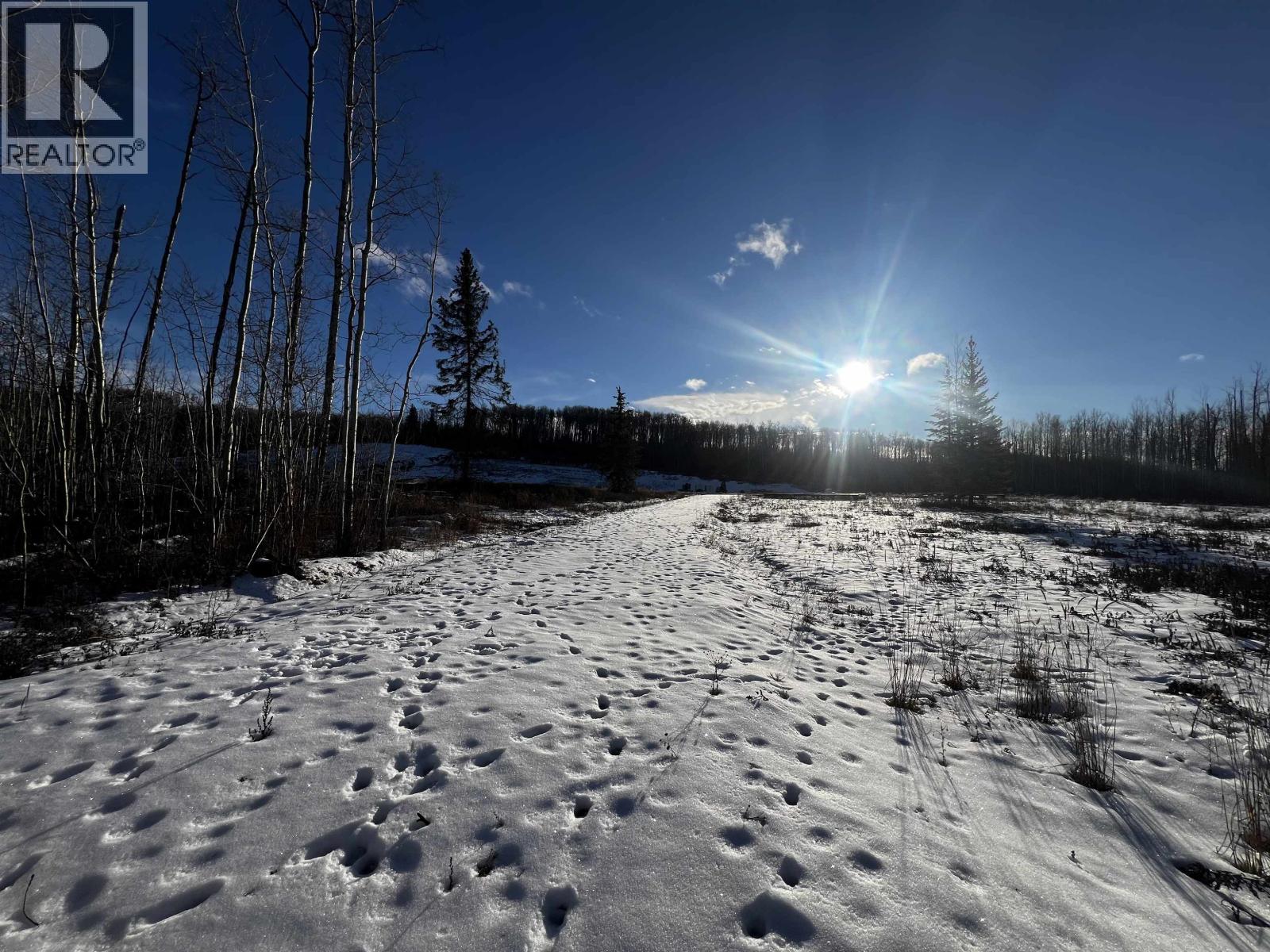 170-180 Langley Avenue, Fraser Lake, British Columbia  V0J 1S0 - Photo 17 - C8074414